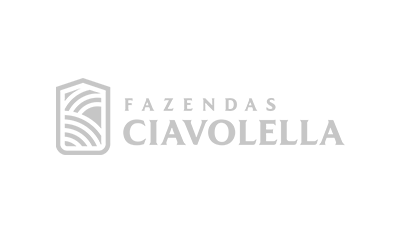 Cliente Tres Brands 11