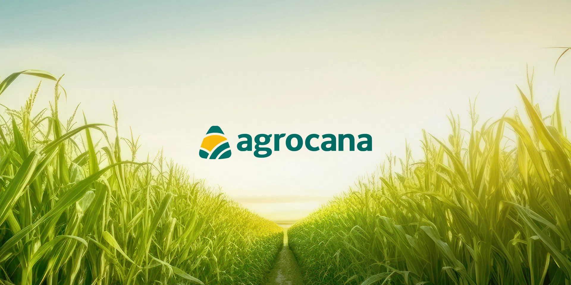 Agrocana — painel totem