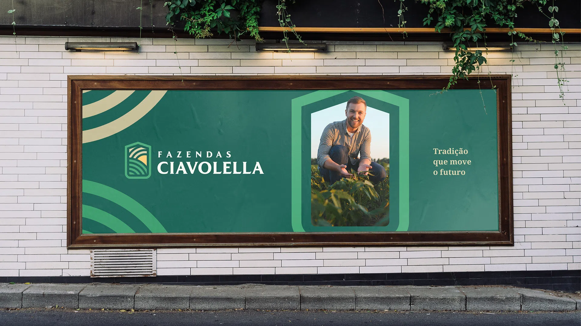 Fazendas Ciavolella — cartão de visita