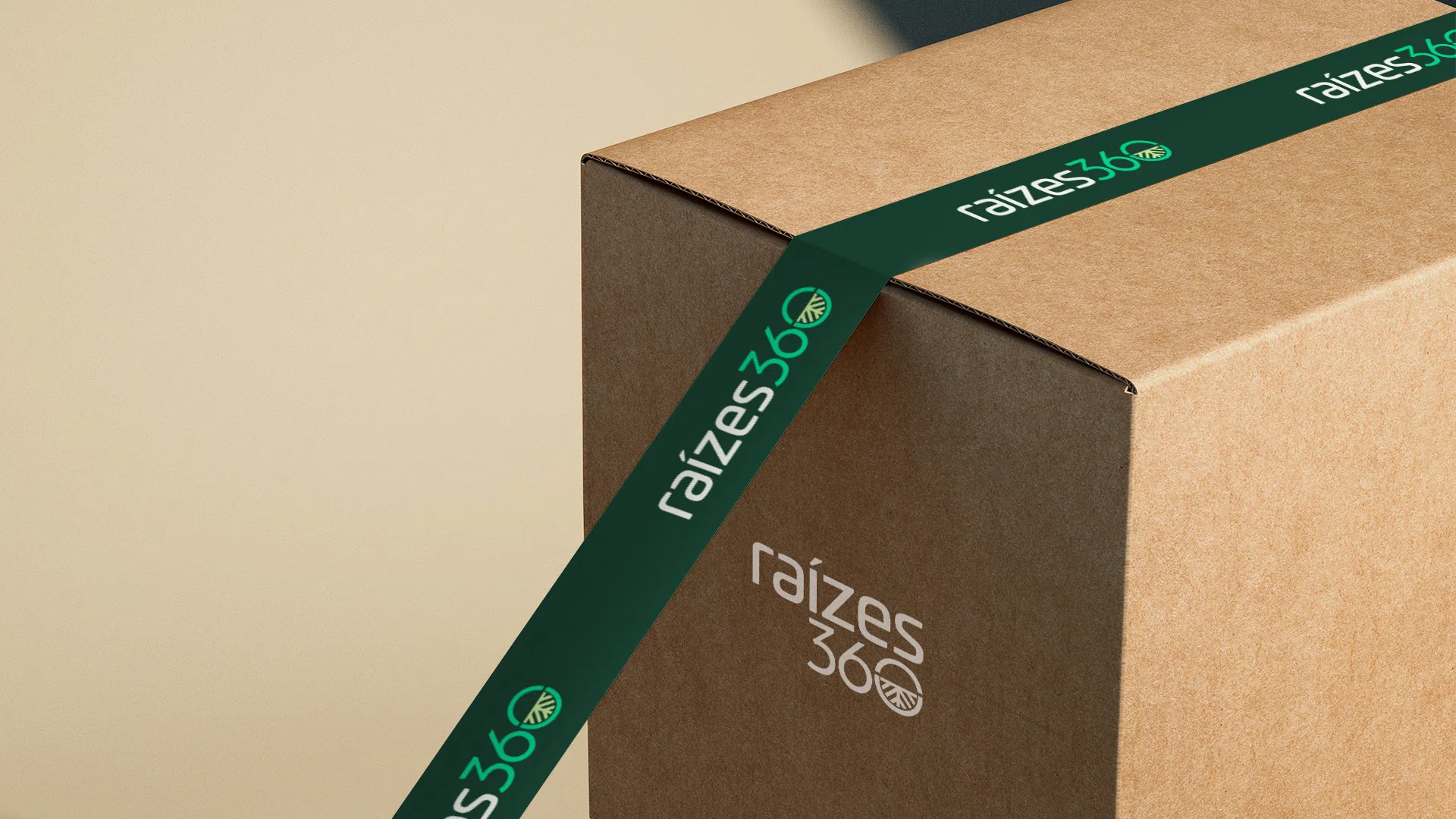 Raízes 360 — caixa com fita adesiva